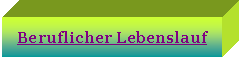 Pole tekstowe: Beruflicher Lebenslauf