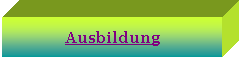 Pole tekstowe: Ausbildung
